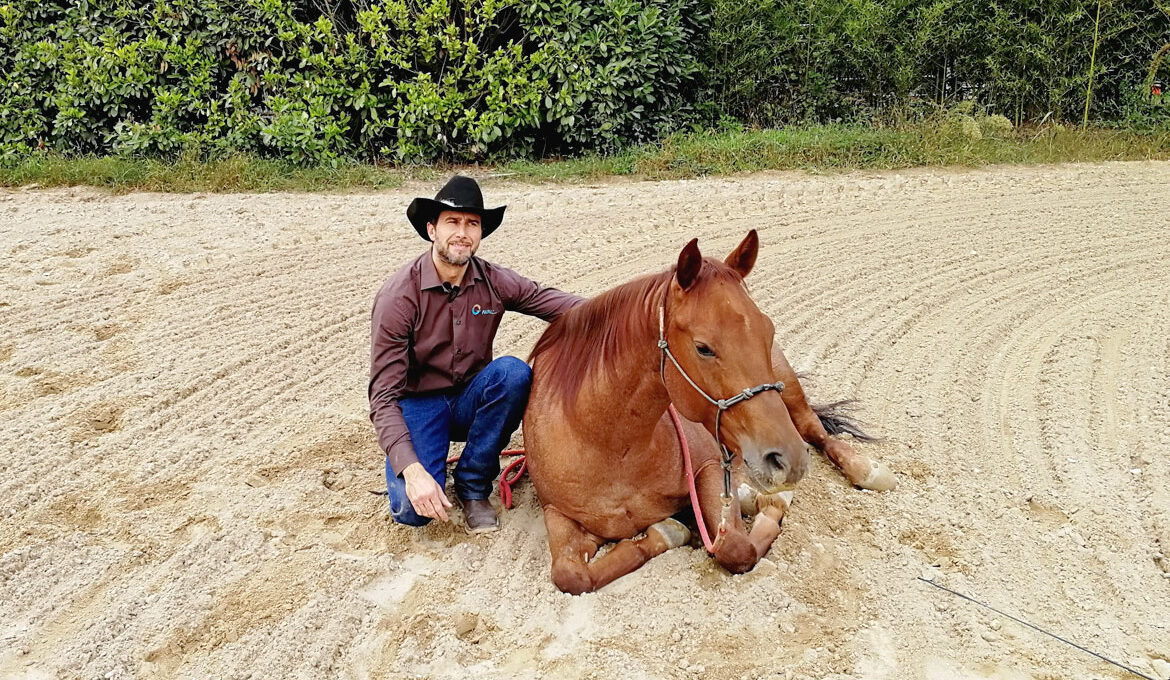 Metodo Gabriele Cavalli - trainer e Tecnico federale di 2° livello di equitazione americana