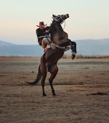 Foto-Articolo-Cosa fare in sella se il cavallo ha paura di un oggetto